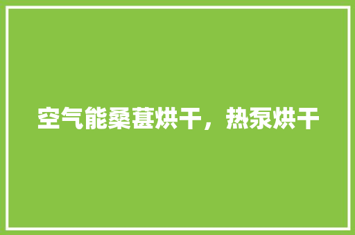 空气能桑葚烘干，热泵烘干 墙体维修