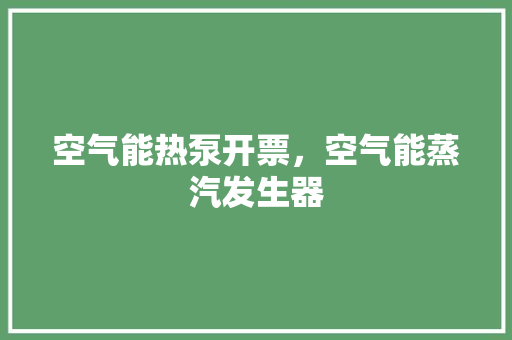 空气能热泵开票，空气能蒸汽发生器 墙体维修