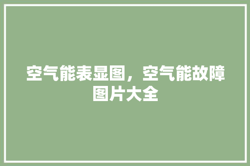 空气能表显图，空气能故障图片大全 厨房维修