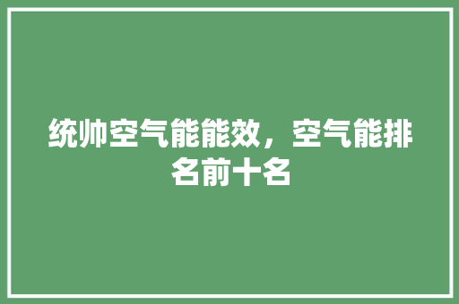 统帅空气能能效，空气能排名前十名