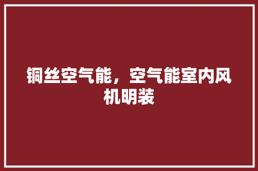 铜丝空气能，空气能室内风机明装 汽车维修