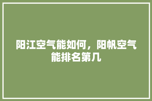 阳江空气能如何，阳帆空气能排名第几 厨房维修