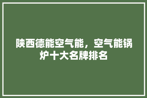 陕西德能空气能，空气能锅炉十大名牌排名