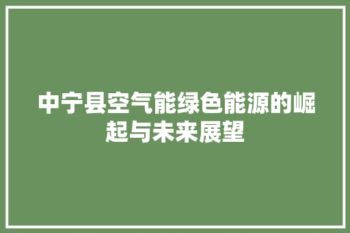 中宁县空气能绿色能源的崛起与未来展望 汽车维修