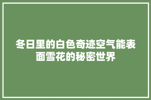 冬日里的白色奇迹空气能表面雪花的秘密世界