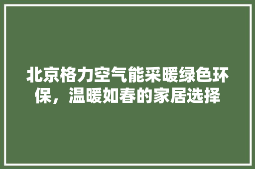 北京格力空气能采暖绿色环保，温暖如春的家居选择 厨房维修