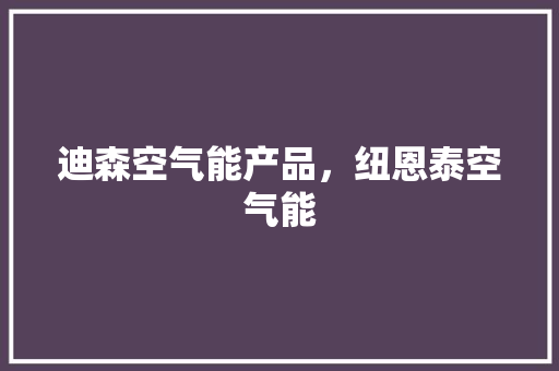 迪森空气能产品，纽恩泰空气能