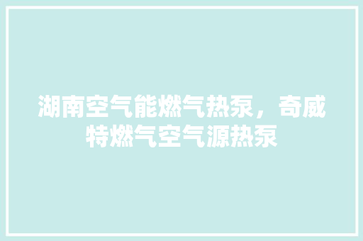 湖南空气能燃气热泵，奇威特燃气空气源热泵 综合便民