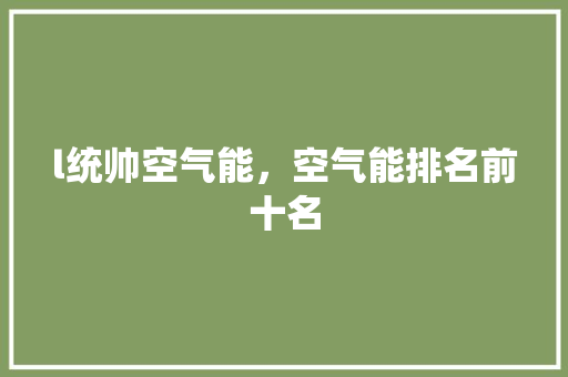 l统帅空气能，空气能排名前十名 综合便民