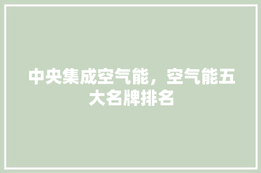 中央集成空气能，空气能五大名牌排名 墙体维修