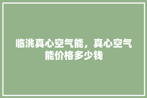 临洮真心空气能，真心空气能价格多少钱 家电维修