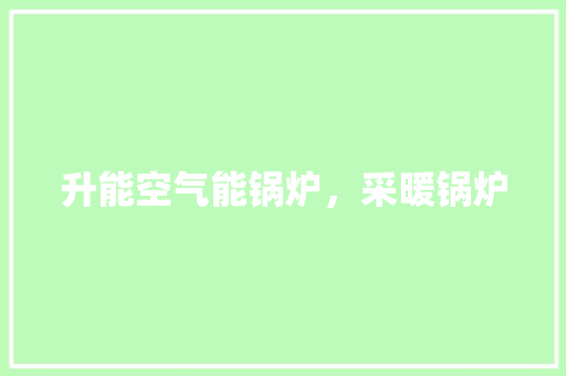 升能空气能锅炉，采暖锅炉 厨房维修