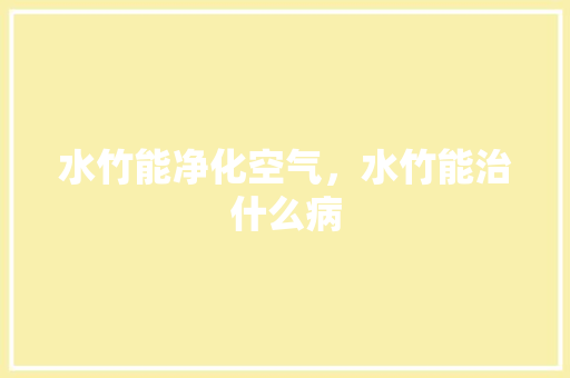 水竹能净化空气，水竹能治什么病 家电维修