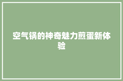 空气锅的神奇魅力煎蛋新体验 综合便民