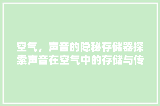 空气，声音的隐秘存储器探索声音在空气中的存储与传播 厨房维修