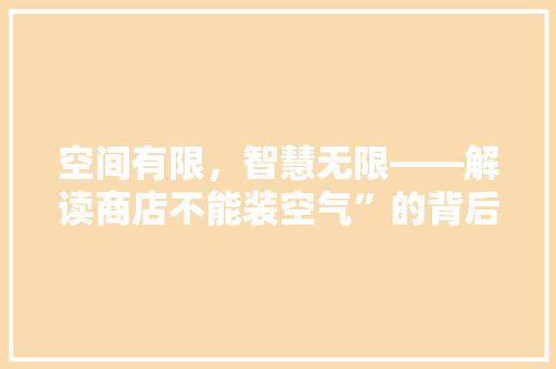 空间有限，智慧无限——解读商店不能装空气”的背后奥秘 综合便民