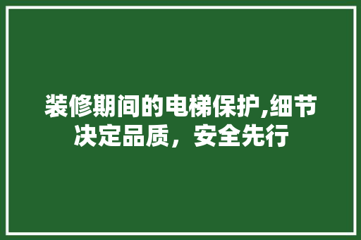 装修期间的电梯保护,细节决定品质，安全先行 装修期间的电梯保护,细节决定品质，安全先行 汽车维修