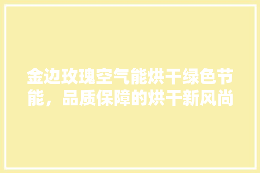 金边玫瑰空气能烘干绿色节能，品质保障的烘干新风尚 厨房维修