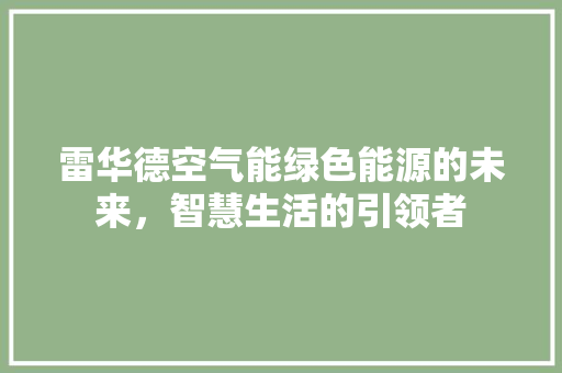 雷华德空气能绿色能源的未来，智慧生活的引领者