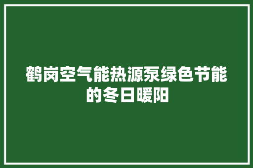 鹤岗空气能热源泵绿色节能的冬日暖阳 汽车维修