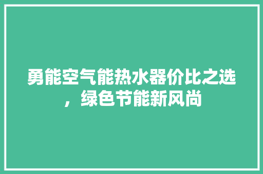 勇能空气能热水器价比之选，绿色节能新风尚 家电维修