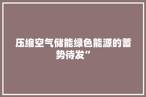 压缩空气储能绿色能源的蓄势待发” 厨房维修