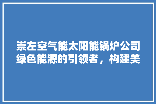 崇左空气能太阳能锅炉公司绿色能源的引领者，构建美好未来 综合便民