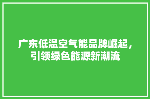 广东低温空气能品牌崛起，引领绿色能源新潮流 汽车维修