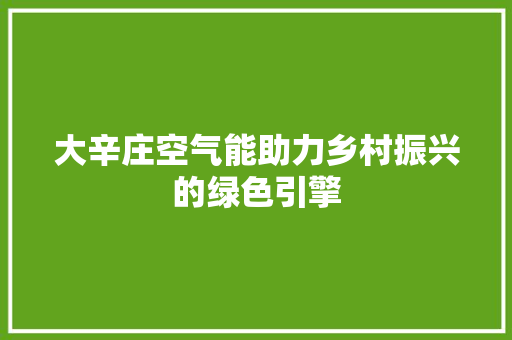 大辛庄空气能助力乡村振兴的绿色引擎 汽车维修