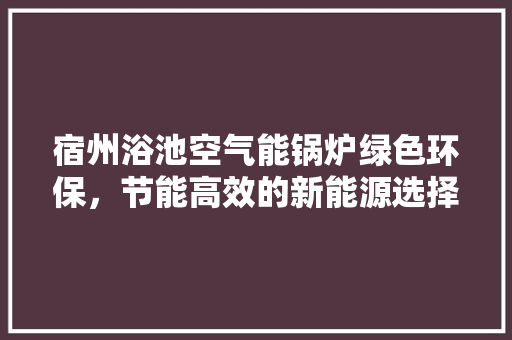 宿州浴池空气能锅炉绿色环保，节能高效的新能源选择