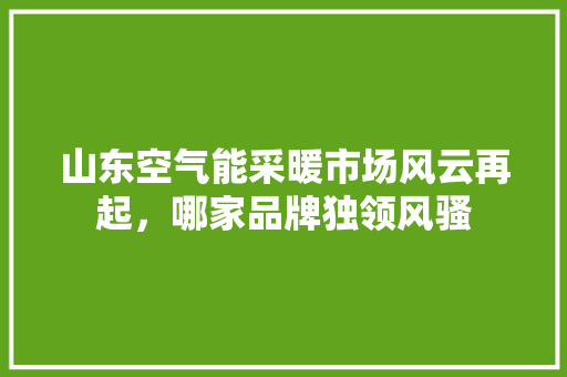 山东空气能采暖市场风云再起，哪家品牌独领风骚 综合便民