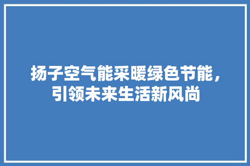 扬子空气能采暖绿色节能，引领未来生活新风尚 厨房维修