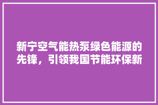新宁空气能热泵绿色能源的先锋，引领我国节能环保新风尚 家电维修