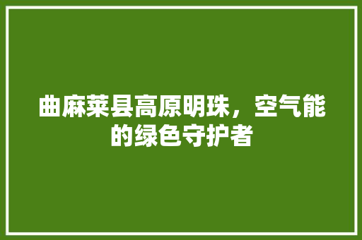 曲麻莱县高原明珠，空气能的绿色守护者 厨房维修