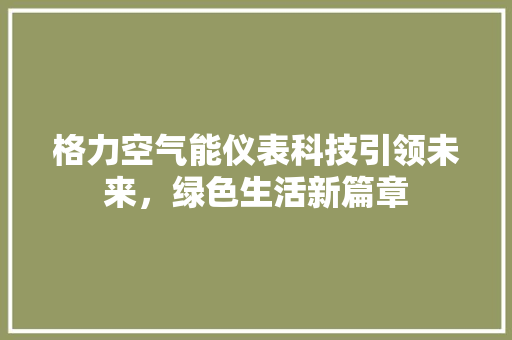 格力空气能仪表科技引领未来，绿色生活新篇章 家电维修