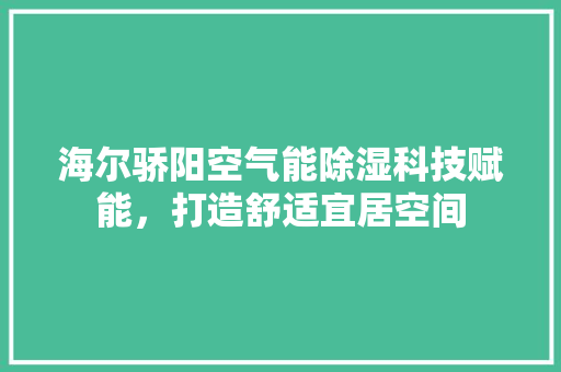 海尔骄阳空气能除湿科技赋能，打造舒适宜居空间 厨房维修