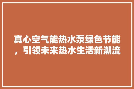 真心空气能热水泵绿色节能，引领未来热水生活新潮流 厨房维修