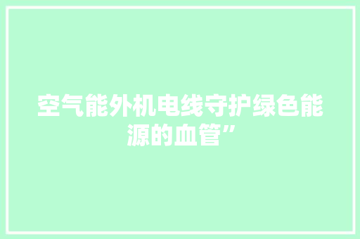空气能外机电线守护绿色能源的血管” 汽车维修