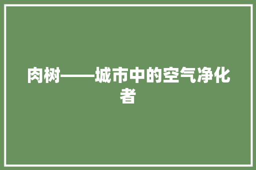 肉树——城市中的空气净化者 厨房维修