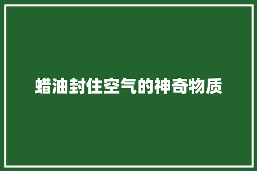 蜡油封住空气的神奇物质 汽车维修