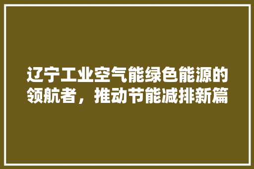 辽宁工业空气能绿色能源的领航者，推动节能减排新篇章 综合便民