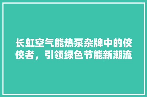 长虹空气能热泵杂牌中的佼佼者，引领绿色节能新潮流
