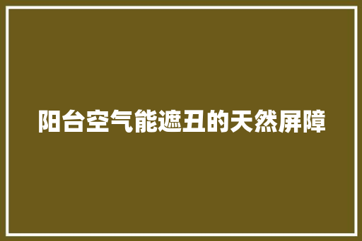 阳台空气能遮丑的天然屏障 墙体维修