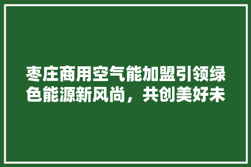 枣庄商用空气能加盟引领绿色能源新风尚，共创美好未来