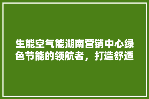 生能空气能湖南营销中心绿色节能的领航者，打造舒适生活新篇章 汽车维修
