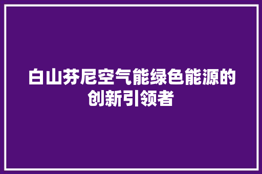 白山芬尼空气能绿色能源的创新引领者 墙体维修