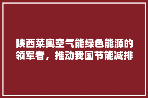 陕西莱奥空气能绿色能源的领军者，推动我国节能减排事业 汽车维修