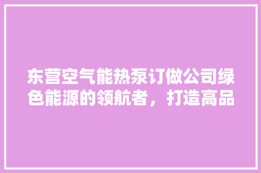 东营空气能热泵订做公司绿色能源的领航者，打造高品质生活新风尚