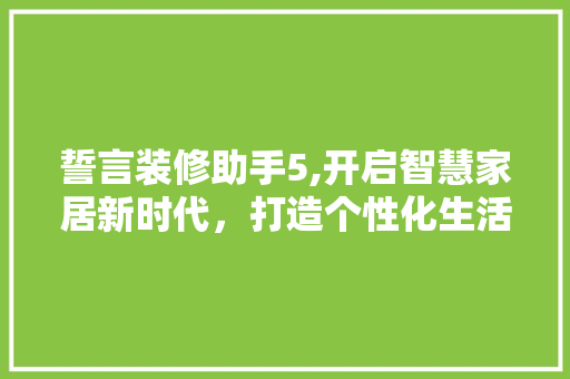 誓言装修助手5,开启智慧家居新时代，打造个性化生活空间 誓言装修助手5,开启智慧家居新时代，打造个性化生活空间 家电维修