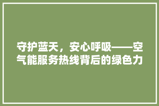 守护蓝天，安心呼吸——空气能服务热线背后的绿色力量